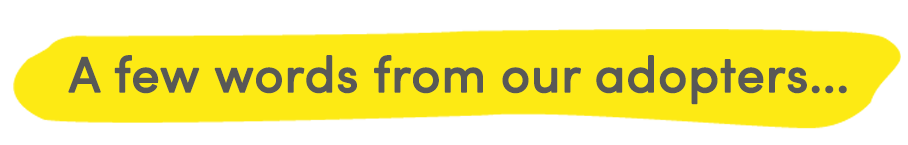 A few words from our adopters