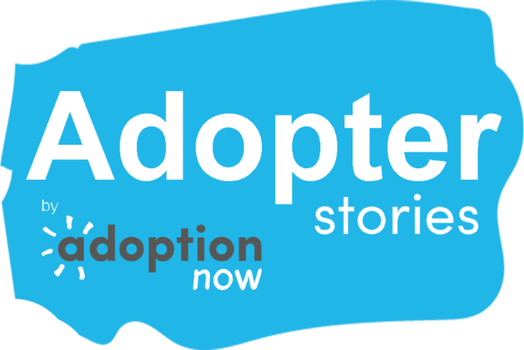 Adopter stories