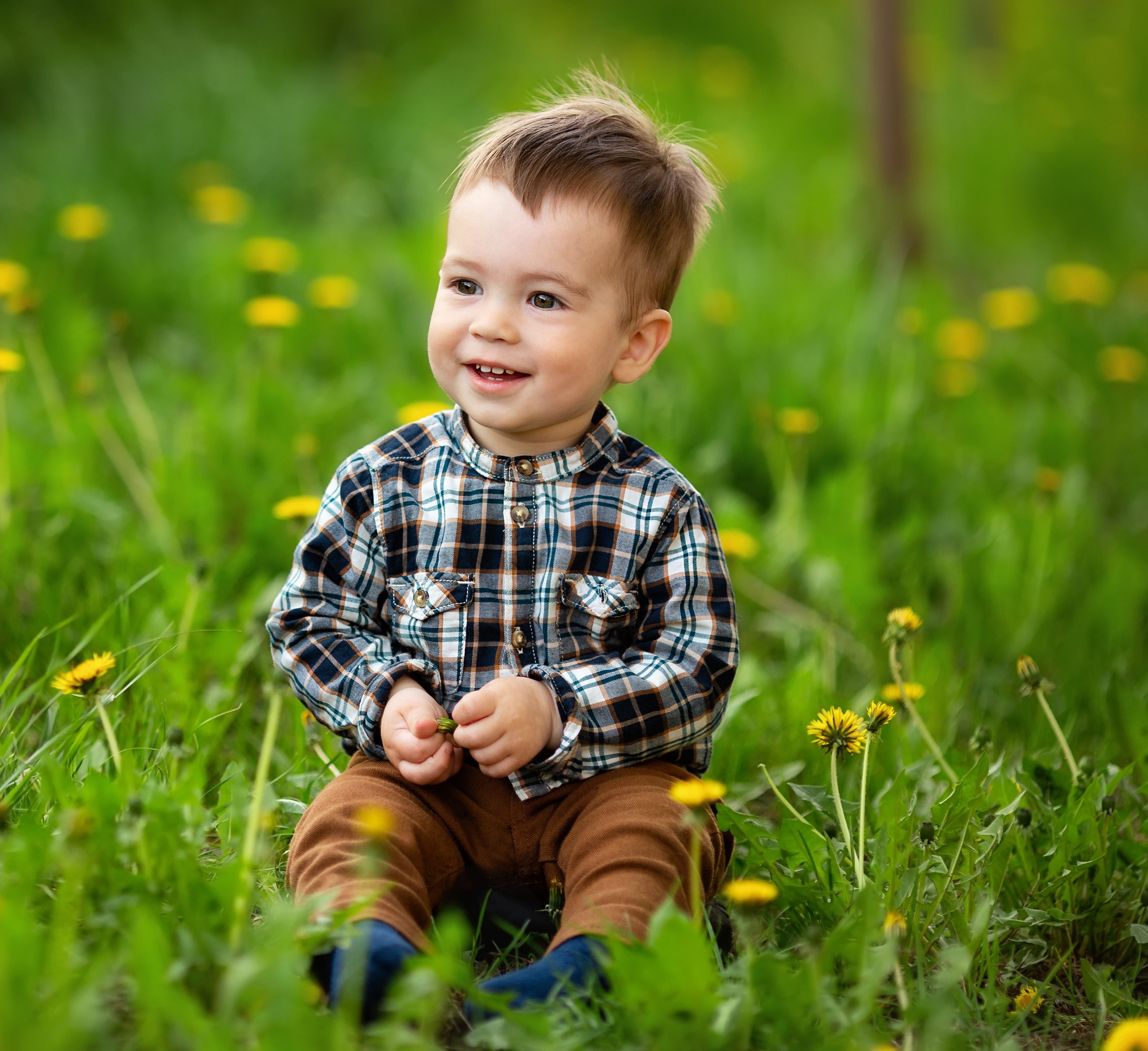 Infant boy picking flowers in the grass